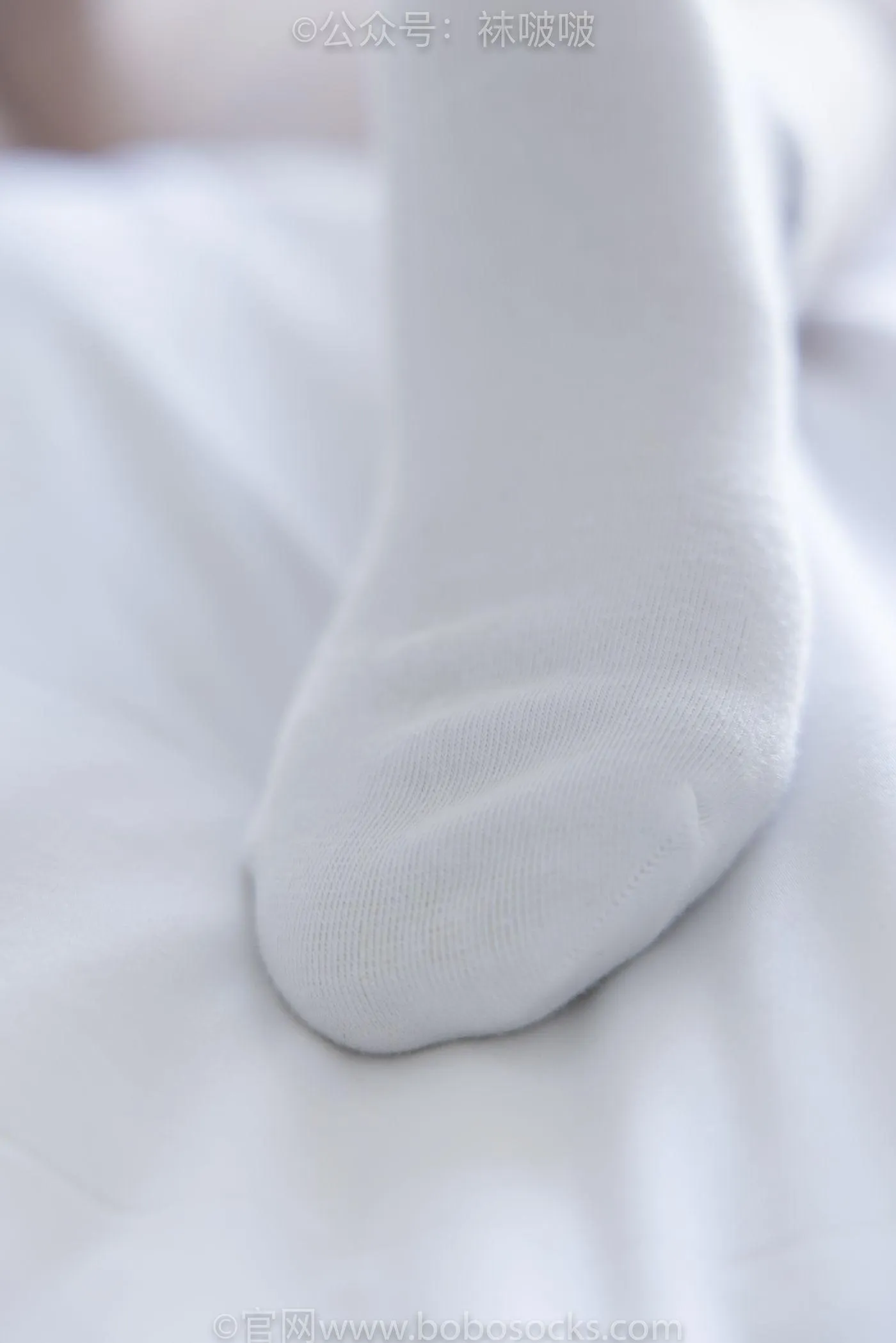 [BoBoSocks袜啵啵]NO.031 小奶熊-AJ板鞋、白棉袜、厚肉丝 [149P]插图1